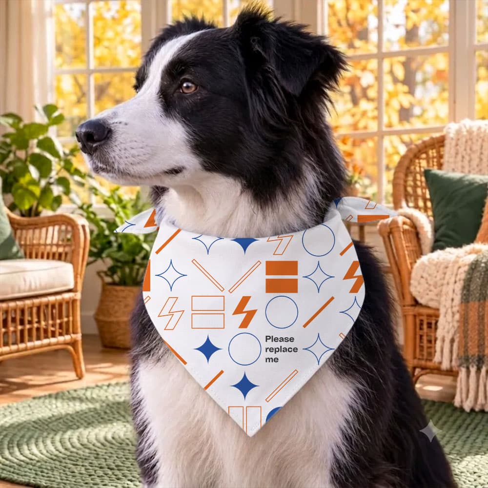 Pet Bandana (US Label)