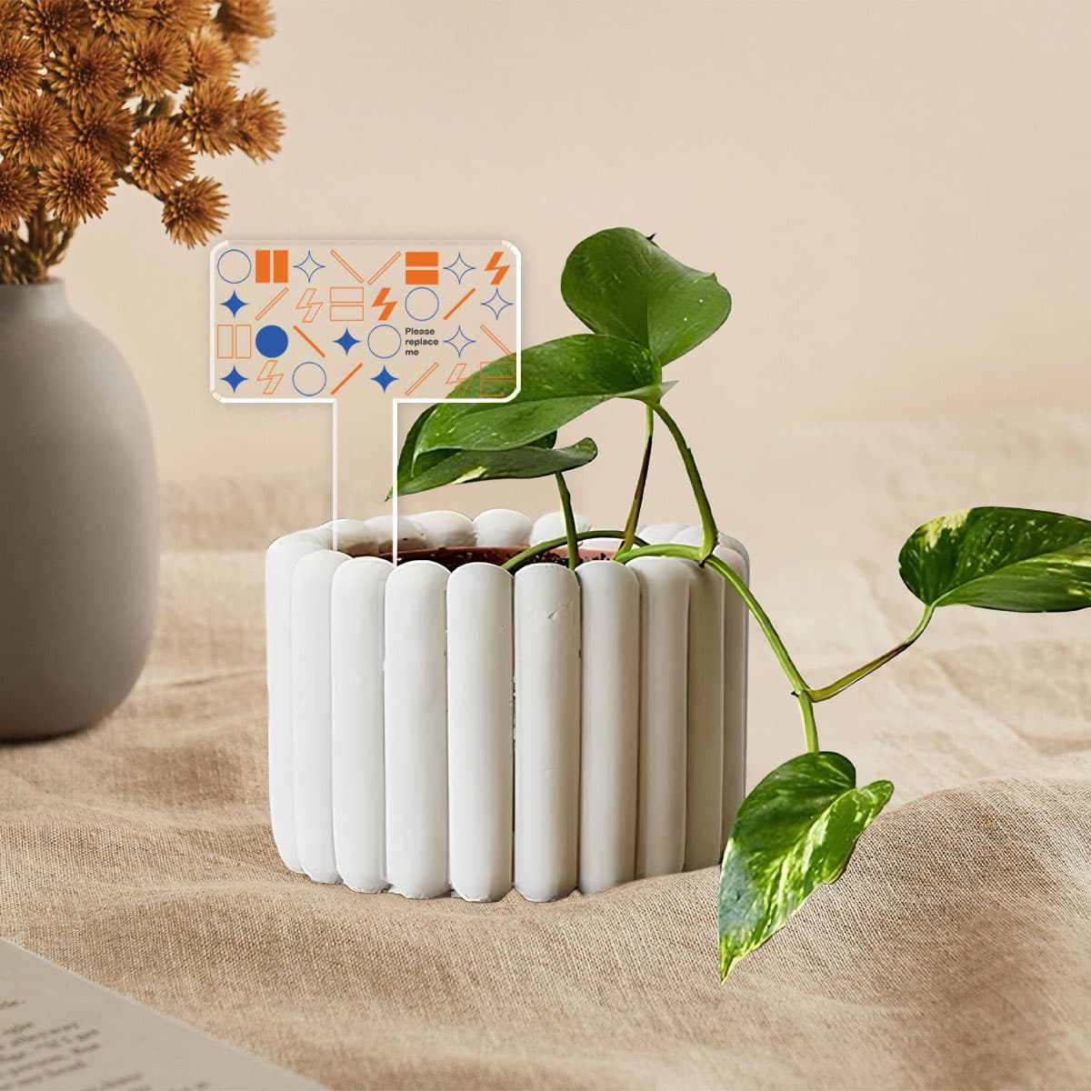 Acrylic Plant Marker - Custom Shape - 1 Side (US)