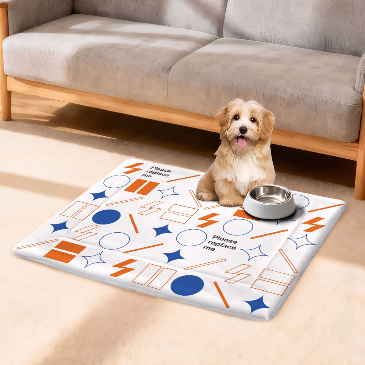 Pet Mat (US Label)