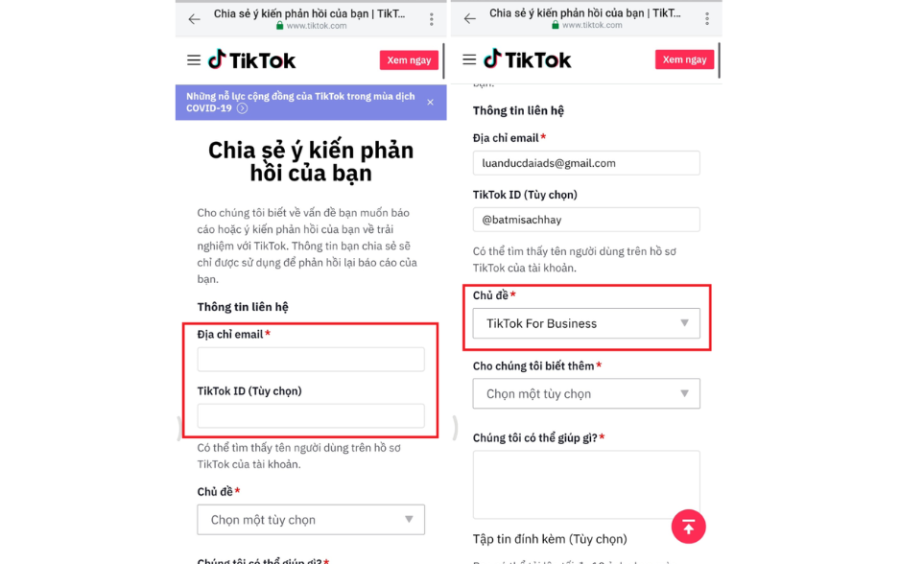 Người dùng cần điền đầy đủ các thông tin về Email, TikTok ID và chọn chủ đề là “TikTok For Business”