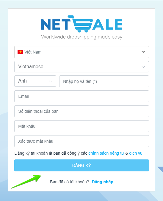 Netsale là gì