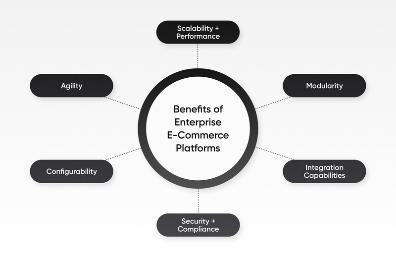 e-commerce-platform-la-gi-14