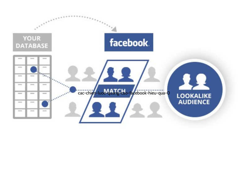 Tận dụng “Lookalike” để mở rộng phạm vi tiếp cận