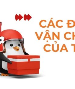 Temu sử dụng đơn vị vận chuyển nào về Việt Nam?