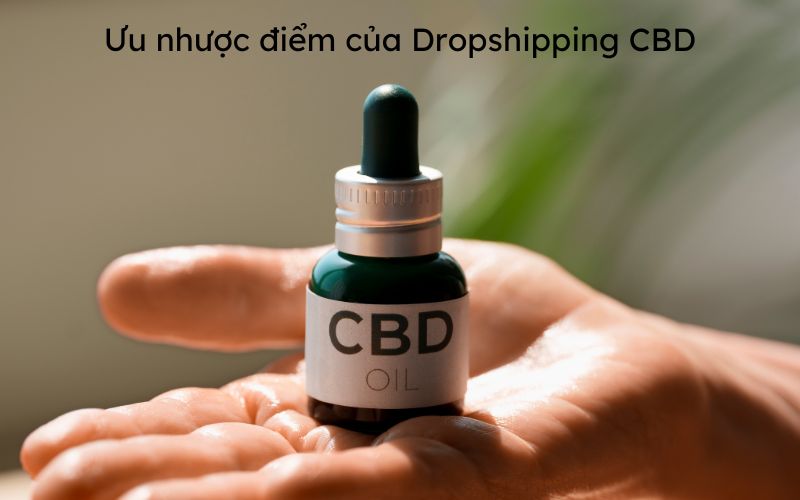 Ưu nhược điểm của Dropshipping CBD