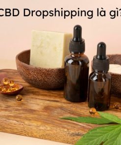 CBD Dropshipping là gì?