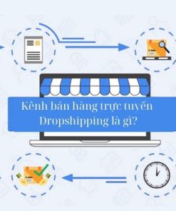 lựa chọn kênh bán hàng Dropshipping