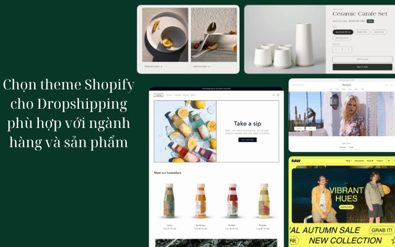 Cách chọn theme Shopify cho Dropshipping