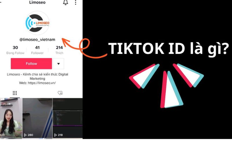 tiktok id là gì