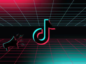 Nguyên tắc cộng đồng TikTok là bộ quy tắc được xây dựng để bảo vệ cho người dùng